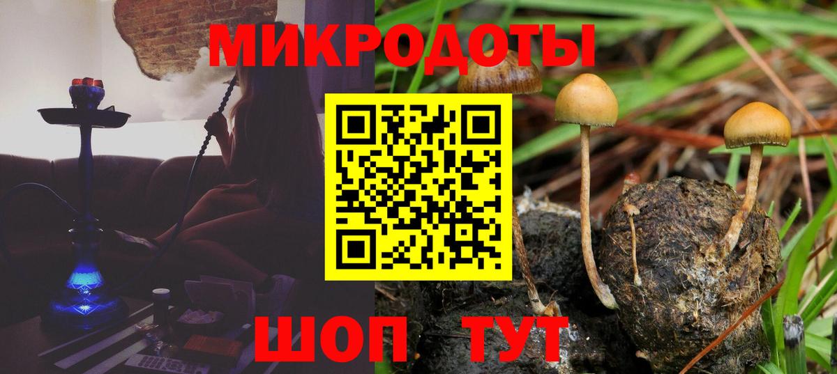 Псилоцибиновые грибы Psilocybine cubensis Тихорецк