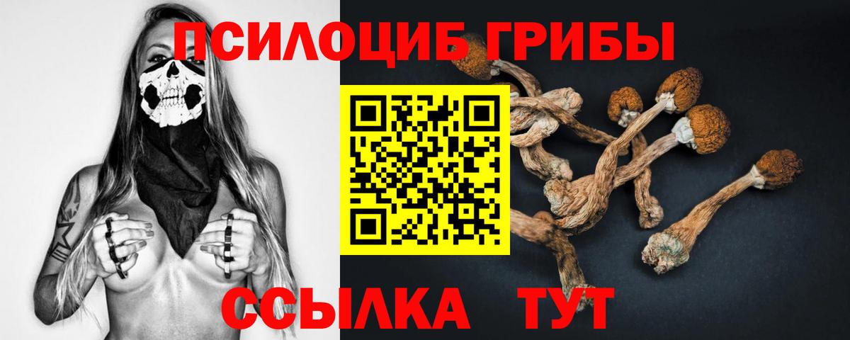 Тихорецк  Псилоцибиновые грибы мицелий  Вход с VPN 
